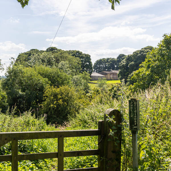 Valley View Farm Exploring Images 