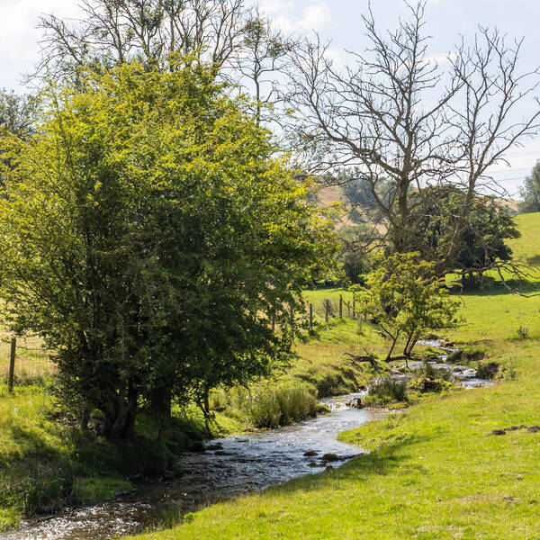 Valley View Farm, Walking Views 