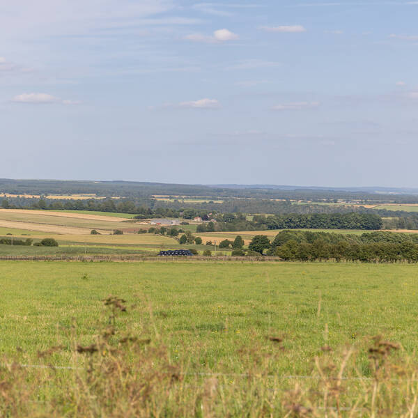 Valley View Farm, Scenic Views 